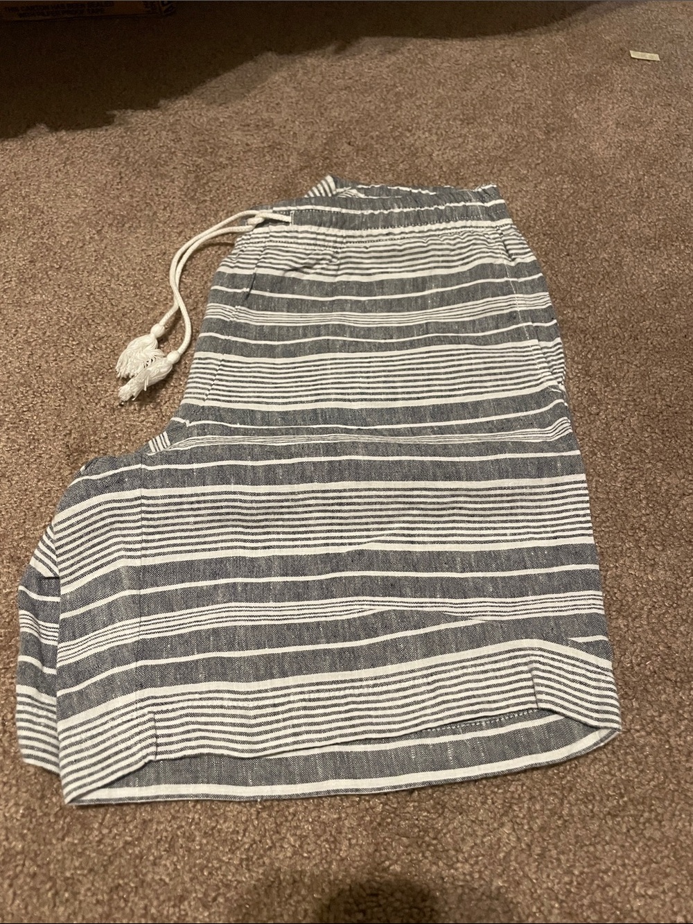 J. Jill Blue and White Striped Pull-On Shorts